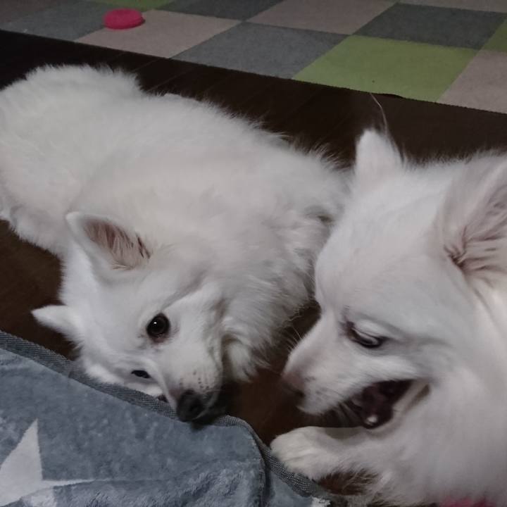 D0d2b21f 389c 420a 8f6c f5f4a8a817c3 1589895239870