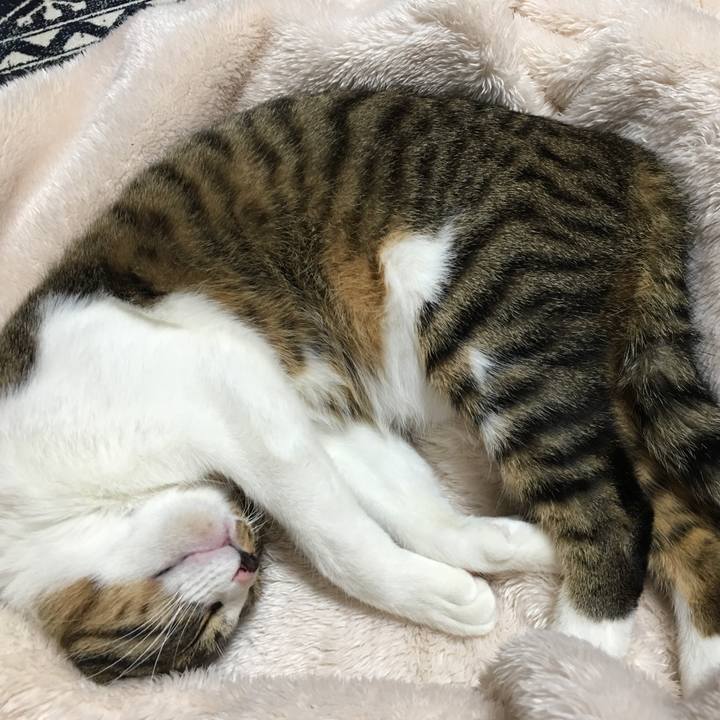 D0d2c705 0c57 4d1d 9bf2 7498e9ec4bdd 1519945220839