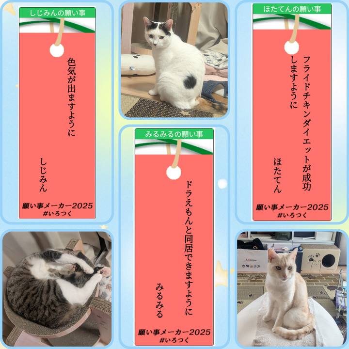 D0d2e2ea 9b63 4f6e ac22 19f41652ef9e 1751848496541