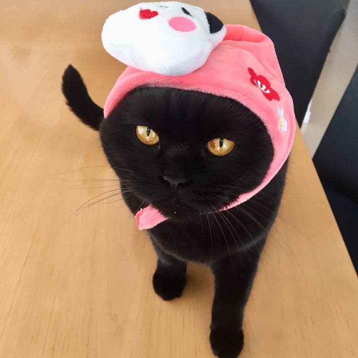 D0d2e710 7929 4dc0 824d 0de3b8245d78 1580698516548