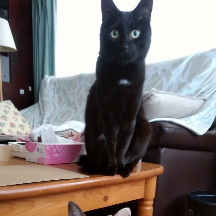 D0d36836 31f9 4195 872b 44ecfd169452 1549254542637