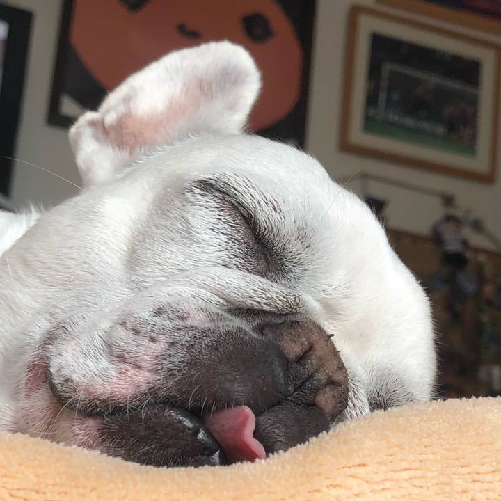 D0d3b4ee 5d4b 48d0 8d86 342bb0d5ddbf 1622463626448