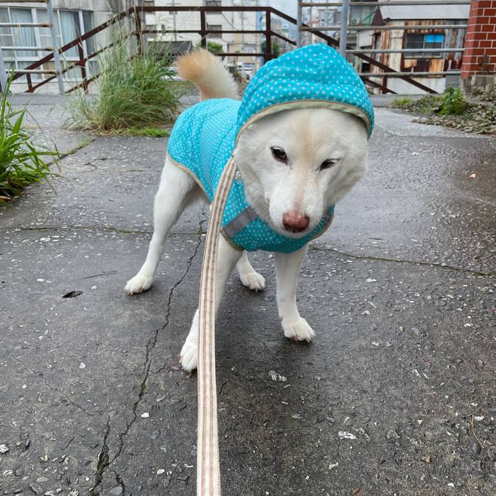 D0d3b885 1106 4ff2 bfff b72e45e8d5f3 1634202992405