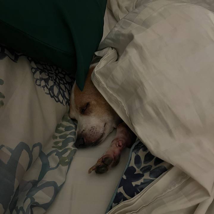 D0d41177 513d 4be9 b98a 976a21c62a65 1759217891961