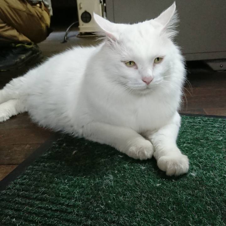 D0d42ad0 8633 4da5 ab29 11399be39eb2 1536704696744