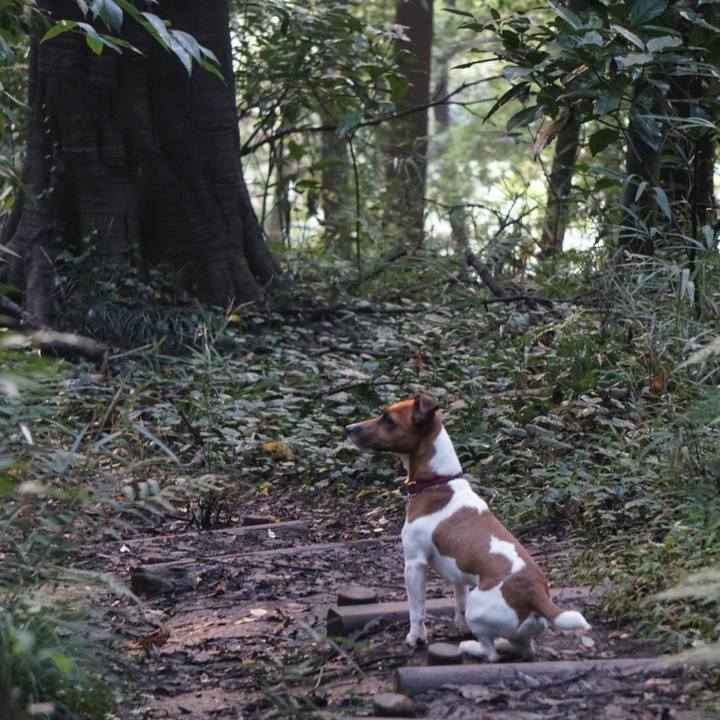 D0d4914a 3588 4284 a3b7 93fbf338964d 1511218032750