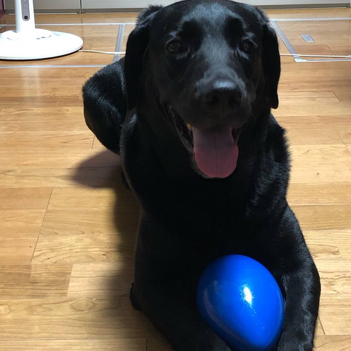 D0d4b54b c92f 41ed af4f d13387c332b9 1599611665147