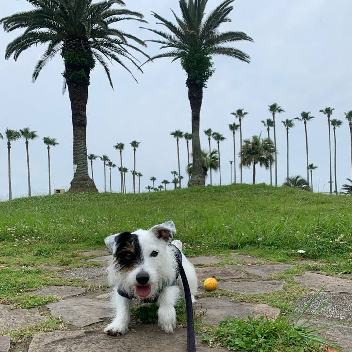 D0d4b8fb 0523 4ff1 ad02 ef6d0b7c3db2 1655515102000