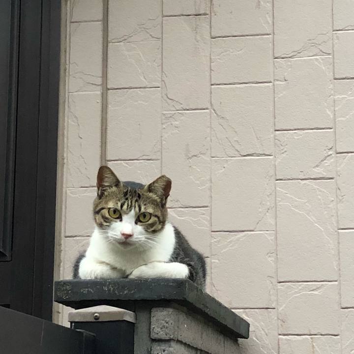 D0d51d44 82bf 4798 8d01 6eb637be0242 1536239190543