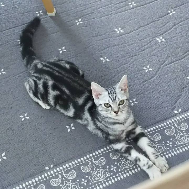 D0d533b1 0b04 4b76 8bab 425f57c4c464 1537536188809