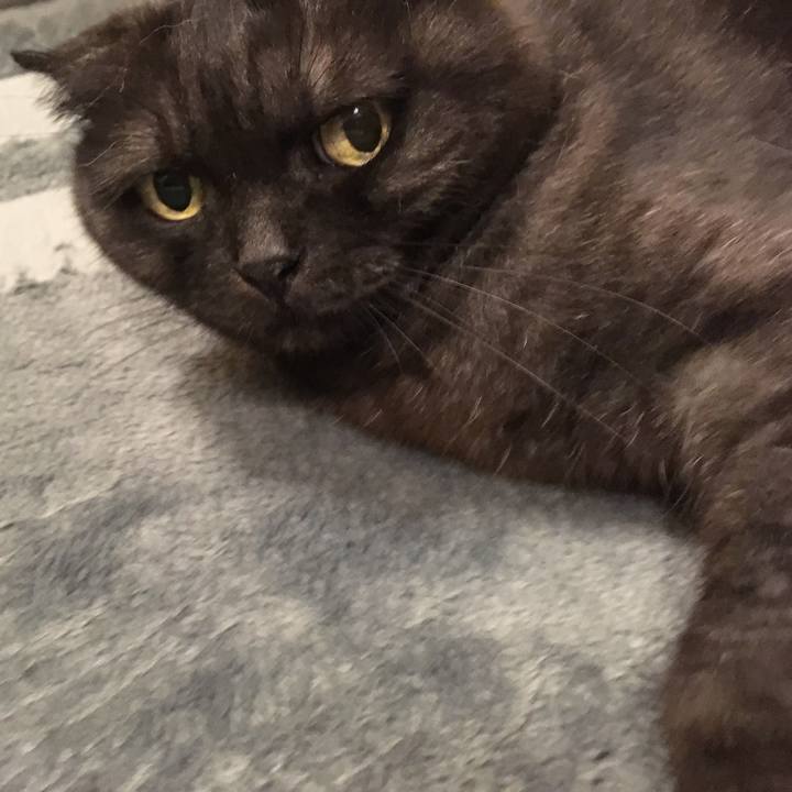 D0d53632 1aab 4aaa 98f2 bd9ff5fc05c0 1561387075988