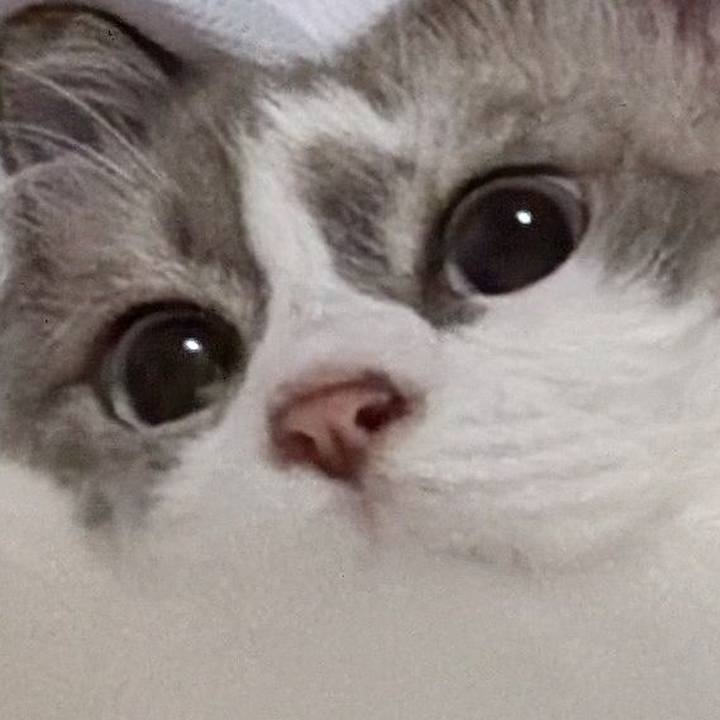 D0d55236 c50b 4db1 a135 62f3191b0525 1786742518326