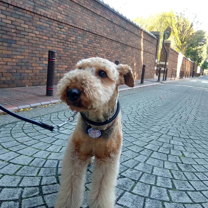 D0d564c0 38a2 4f54 b617 4f1ccc670743 1587254112945