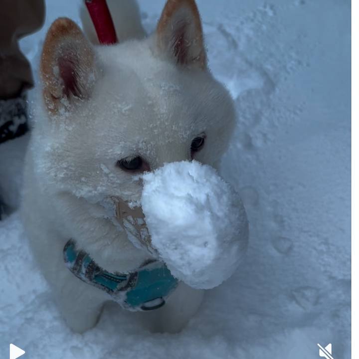 D0d57ea3 6362 446e a901 39de054359b3 1733962072579