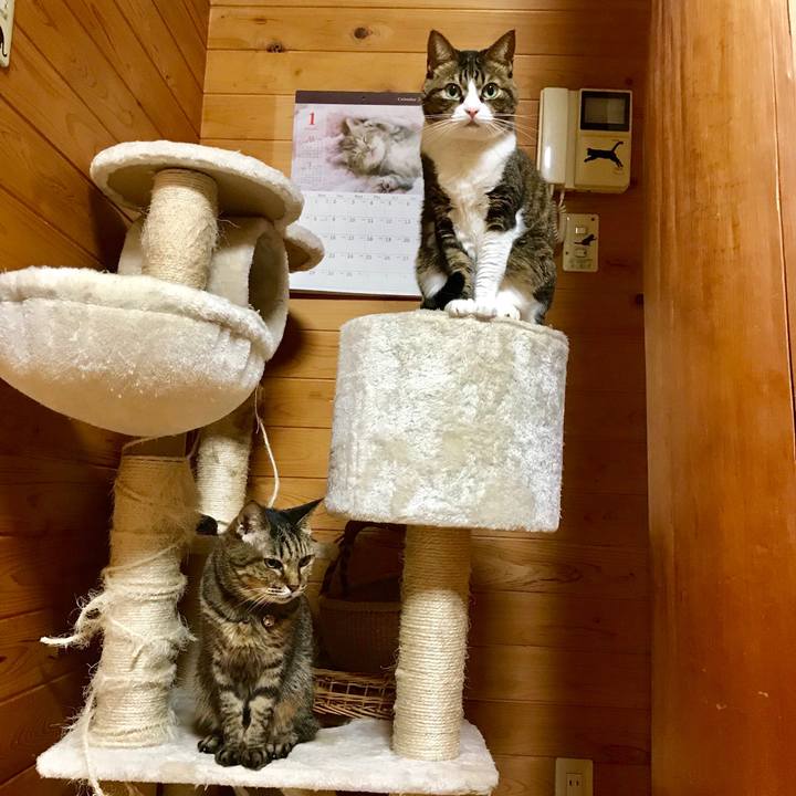 D0d581df ff10 4f77 8697 3e097bc2d767 1516195094758