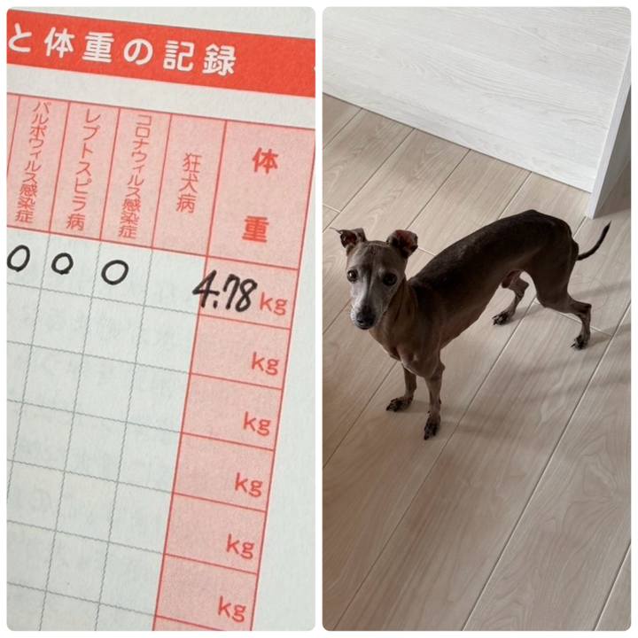 D0d609d2 75fb 4661 9331 63c9d956fe20 1769575248931