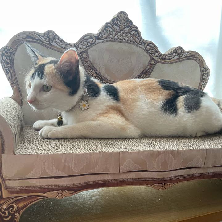 D0d62386 e615 4e5c a4c9 254fd78c53bf 1677195250171