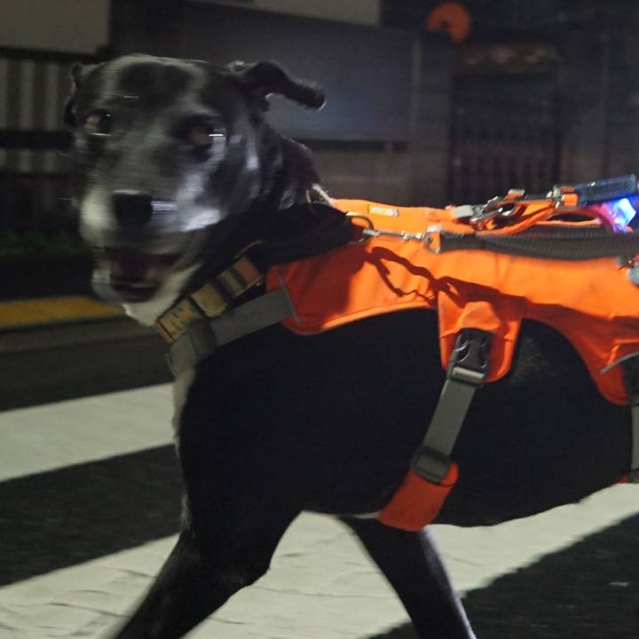 D0d62642 29f0 4f9e 8316 c080fde11ebb 1761389982178