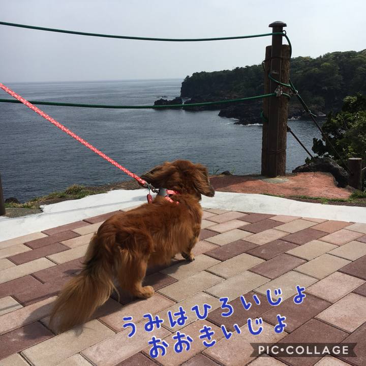 D0d62889 4d3b 450c 8465 5485f209b538 1525177224823