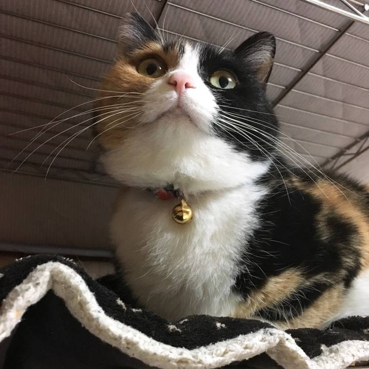 D0d64351 f708 4220 b577 324659c3f915 1516359266687