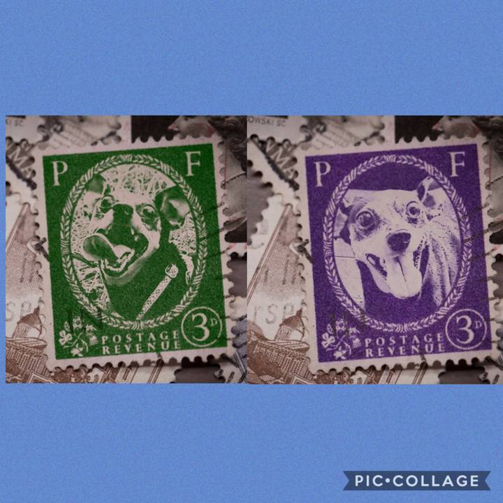 D0d64d42 ebfc 4276 a04f 054b042daa1e 1569938575103