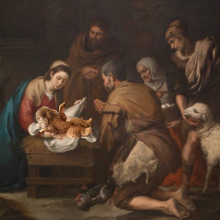 D0d68b6f a442 4574 bacd d89899fe9c70 1545665072711