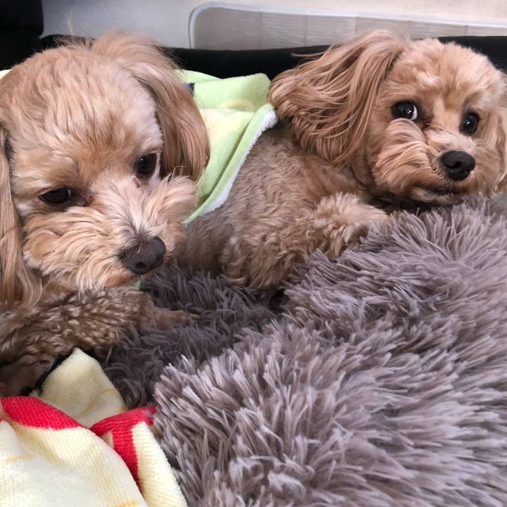 D0d6a9eb 08e5 4944 a1b5 92cf5721cf7b 1672483985067