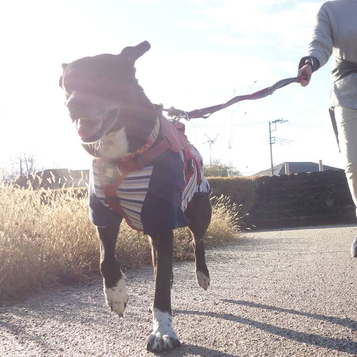 D0d6b4de 89da 4579 b705 94ec336fd0ad 1701823032229