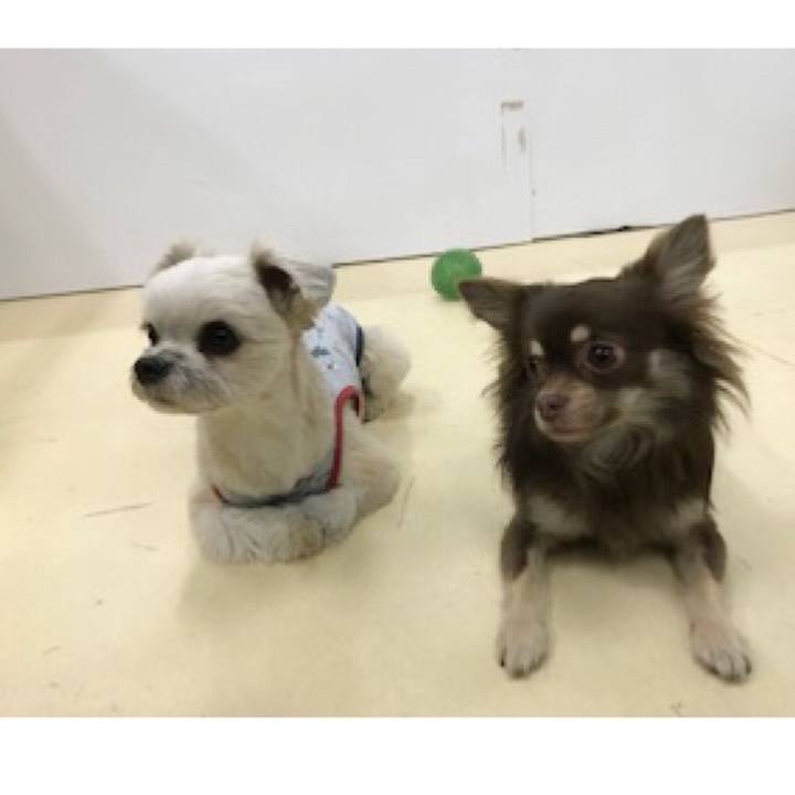 D0d6bc73 cb7f 4e3f b94e 3ffadb0643de 1552655049968