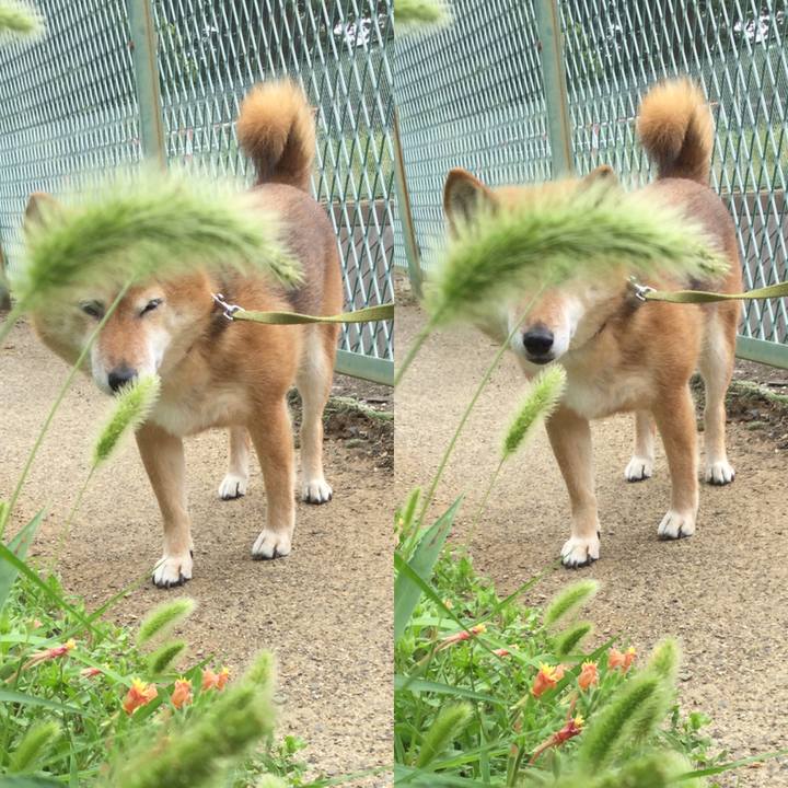 D0d6dbd1 83c8 4e98 a1bd bd7bc9816c13 1561012738369