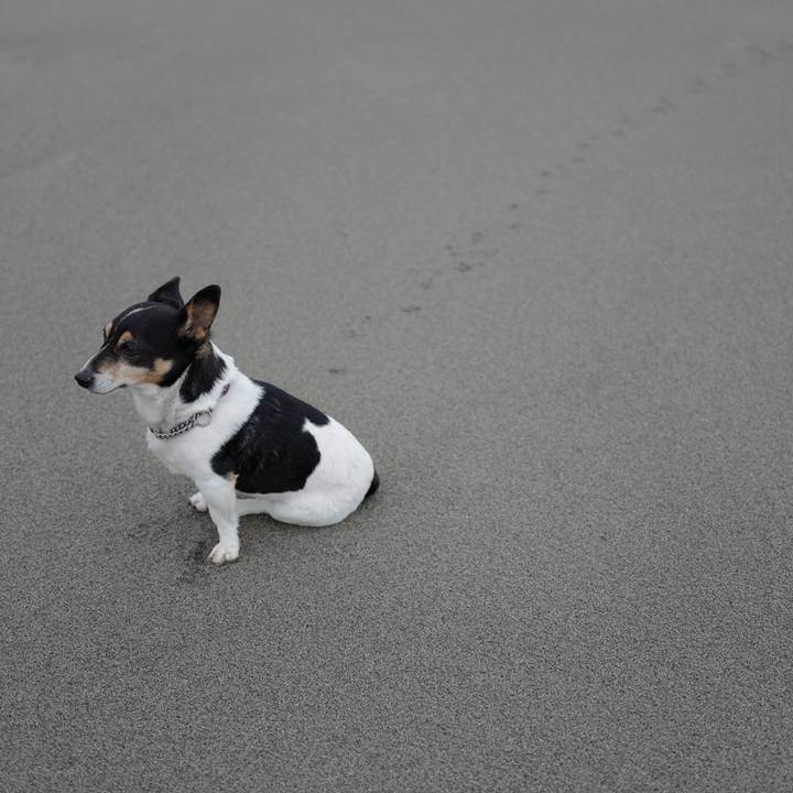 D0d6dc98 a472 40e3 88bf d6c1912b75b1 1511760266491