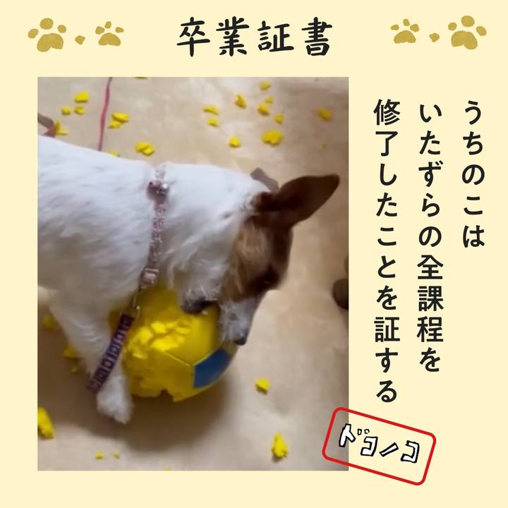 D0d6e4e0 4606 4274 92be c70e92fdaf77 1772498560237