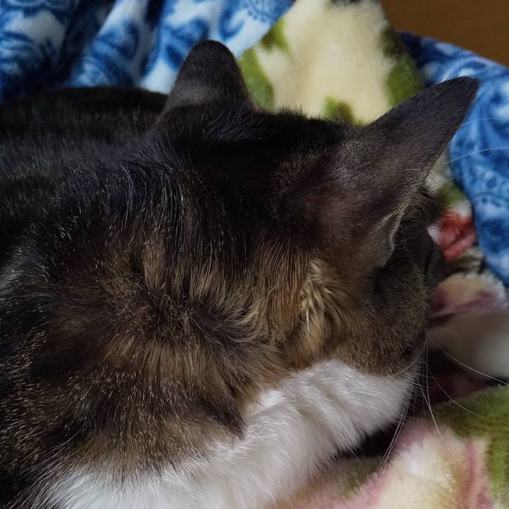 D0d715b6 75c1 447f a2ce a71ba5257691 1643515366464