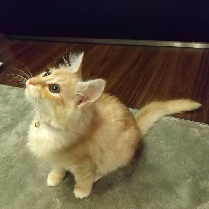 D0d71fc2 6f13 49cb ba04 e363e8e89707 1606217859483