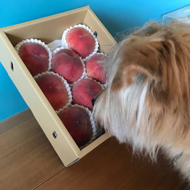 D0d73ab7 f1e0 41c0 bde3 e8c6238100b9 1593394321317