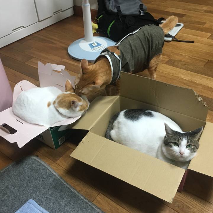 D0d73e59 0a97 4247 86aa 1c6215369d78 1535028828628