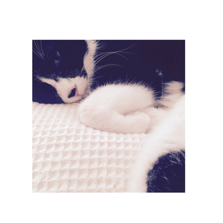 D0d75170 cdf3 4cd7 ae2d 0eabba8f6af6 1609397865781