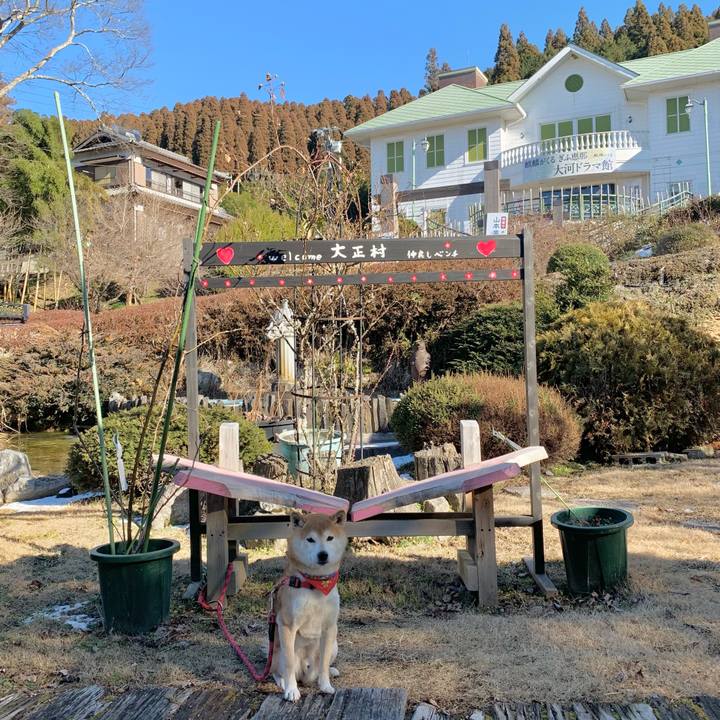 D0d77044 45fa 4305 84da 3ec6c8ccc541 1611737351800