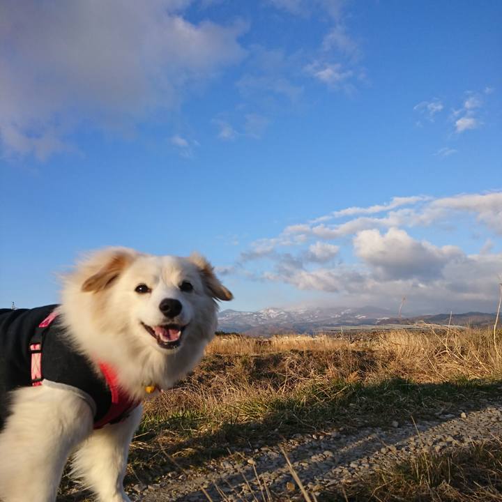 D0d786fd 68b9 42e6 aed8 c03e73d70c01 1521237075681