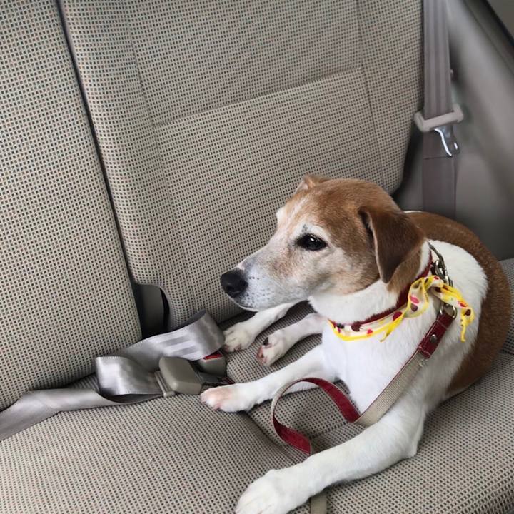 D0d78ac7 3b59 4de4 816d 7b99b0952d19 1589257779925