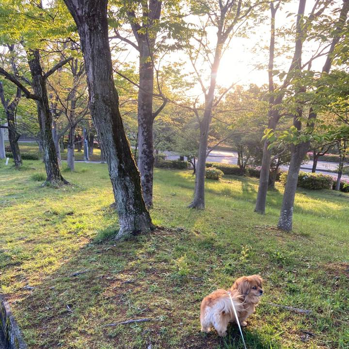 D0d79435 ea99 40c8 8c58 cb08aaac8675 1618781679797