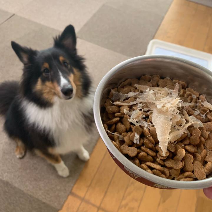 D0d799fb 191f 44a7 a75b 81b834ef51c2 1568754538433