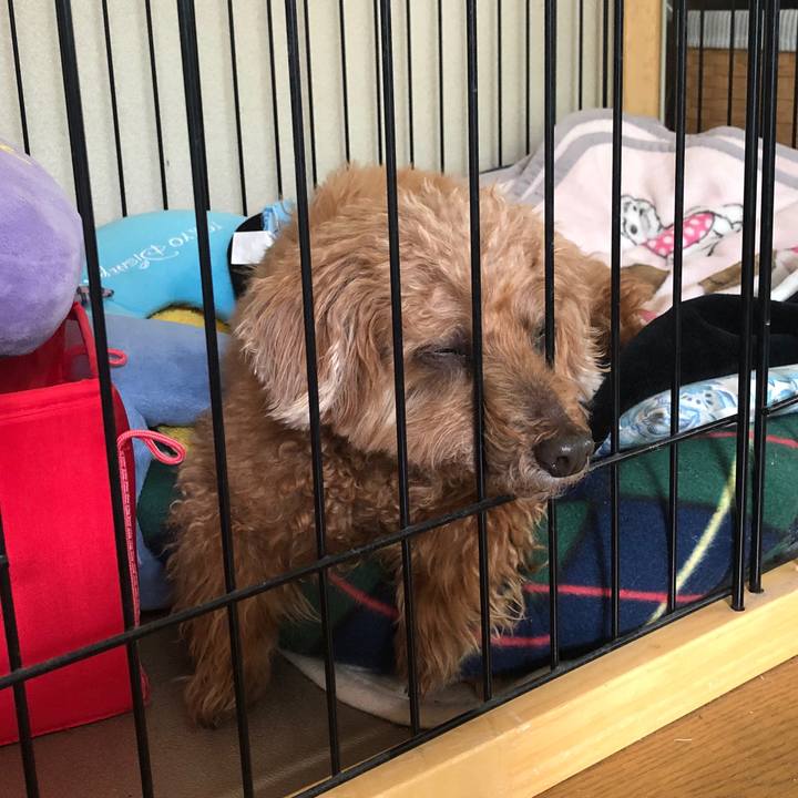 D0d7b015 6ff9 4d0b b9e0 4f260423d5a4 1589677218189