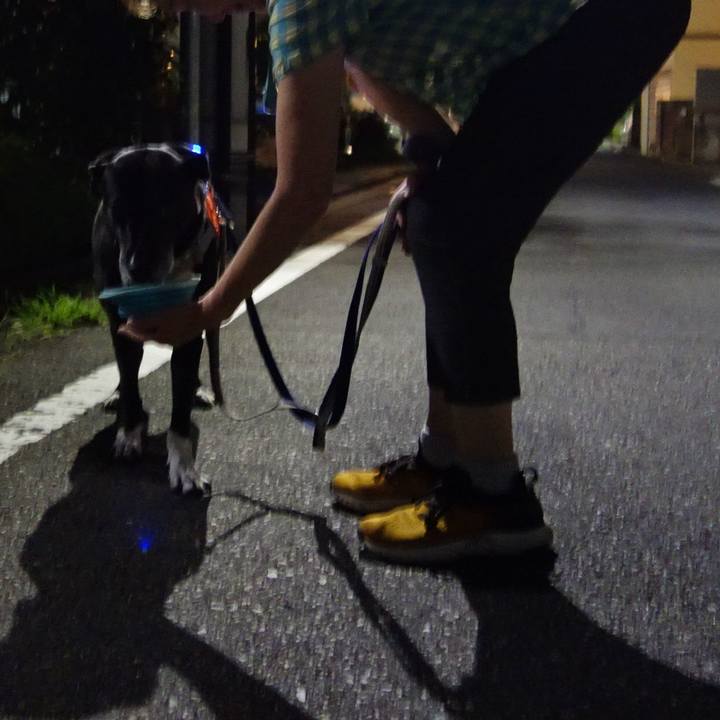 D0d7be2f e547 4966 a4e0 7640bf8e442d 1722511405914