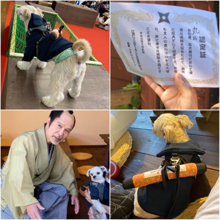 D0d7f3dc a73e 4c0e a12b b3ab0045278f 1570253963197