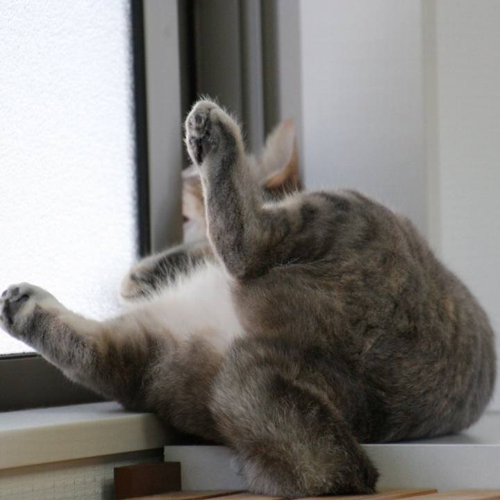 D0d8590a afb1 426a 9c0b 9c9e9a7418a1 1524188037358