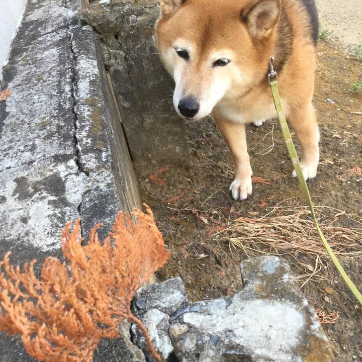 D0d861a5 54a8 44b2 9086 b26f155bd096 1598605077075