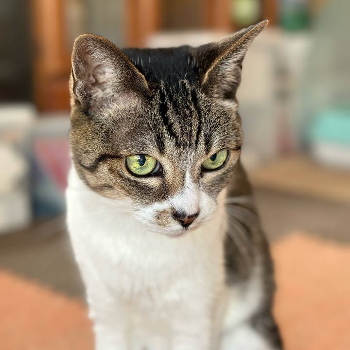 D0d866cc 85f9 4b3c 8d65 9a50e6a001f5 1673392974990