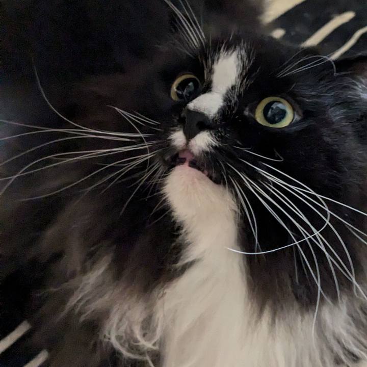 D0d868df cc38 4c06 b862 ad90f6e36a64 1727265088527