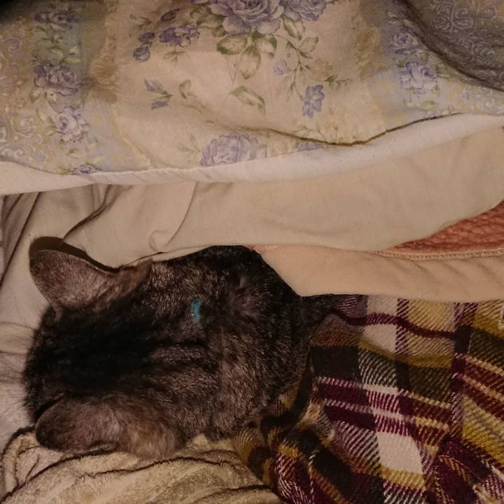 D0d8a346 d25a 430c 88a0 daf1cceb28f9 1576269396417